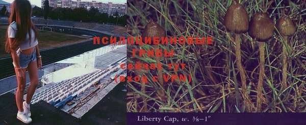 каннабис Магадан