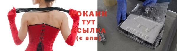 крисы Майский