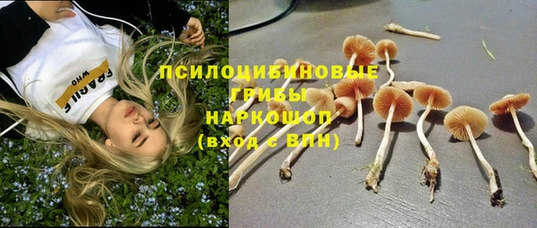 кокс Магас