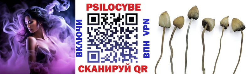 Псилоцибиновые грибы Psilocybe  Купить закладки  Семёнов 